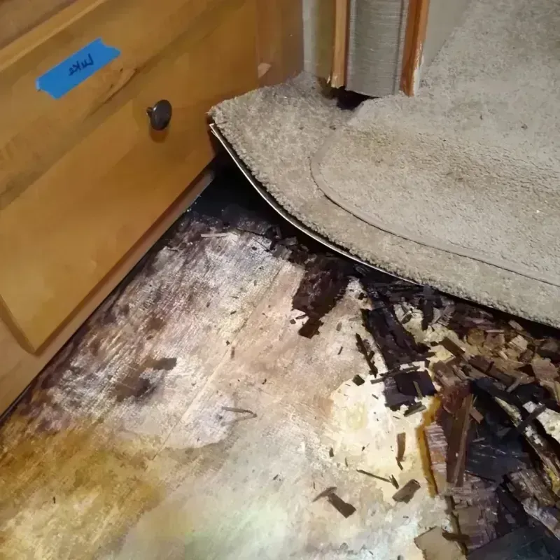 Best Wood Floor Water Damage Service in Hamilton, MO